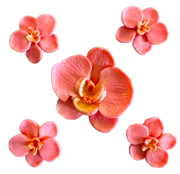 Set 5 decorazioni commestibili dalla pasta di zucchero, orchidee rosa